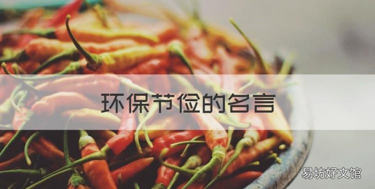 环保节俭的名言,关于节能的名言名句