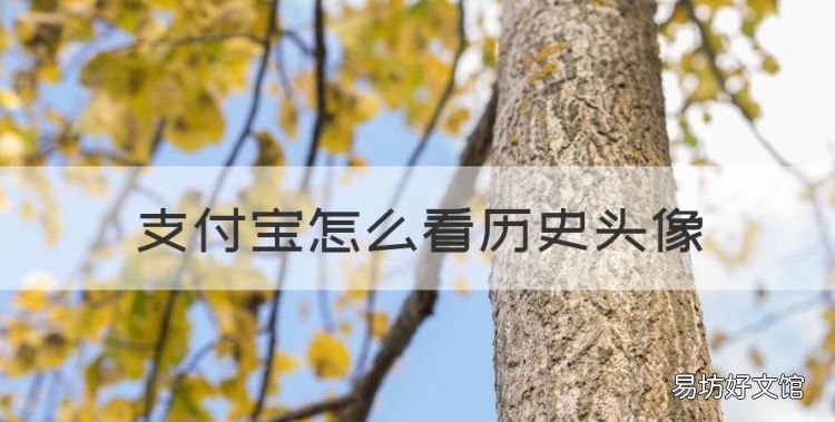 支付宝怎么看历史头像,为什么换了手机支付宝里面的东西没有了