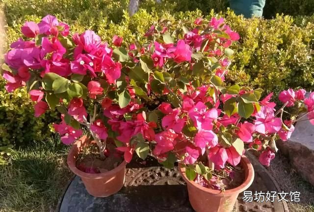 《易经》中的五行生成规律 人无千日好花无百日红
