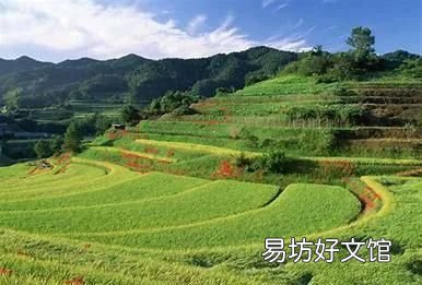 四时田园杂兴其31的意思，四时田园杂兴其31的表达了什么