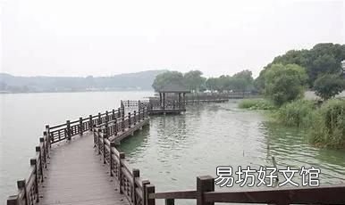 四时田园杂兴其31的意思，四时田园杂兴其31的表达了什么