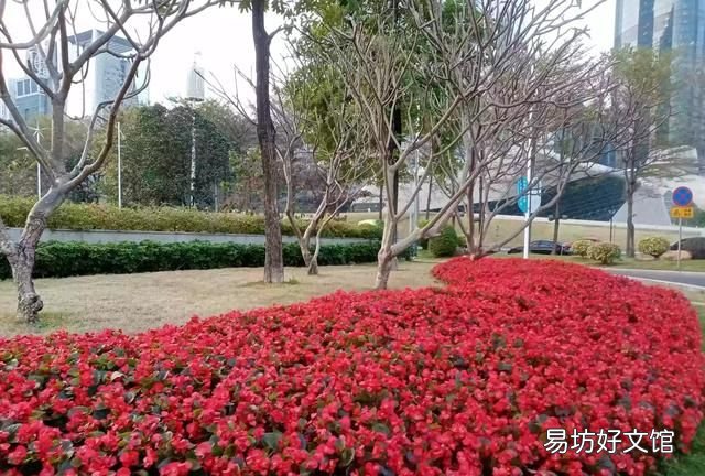 教之道 贵以专,教之道贵以专怎么解释