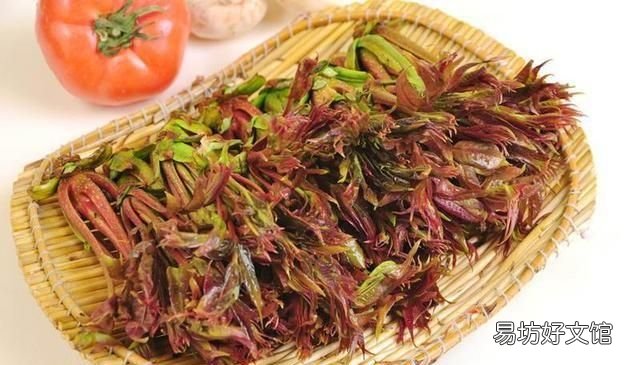 香椿的营养价值:香椿怎么做好吃?