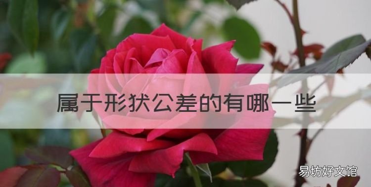 属于形状公差的有哪些,形位公差代号包括哪些内容