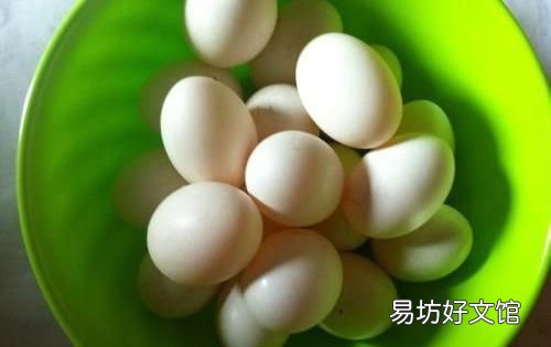 鸽子蛋能放多久?怎么保存好呢