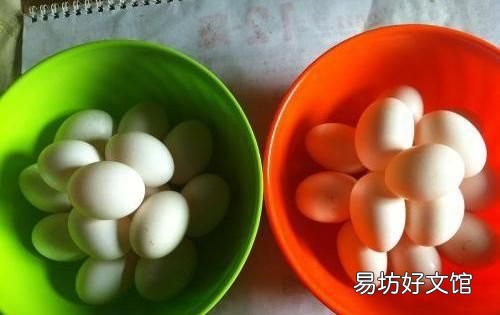 鸽子蛋能放多久?怎么保存好呢