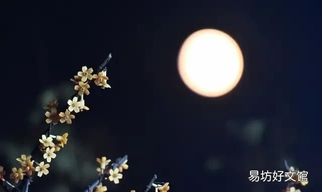 月亮的美称有什么 中国古代的“月亮”