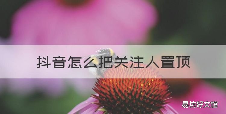 抖音怎么把关注人置顶，抖音作者评论为什么不能置顶