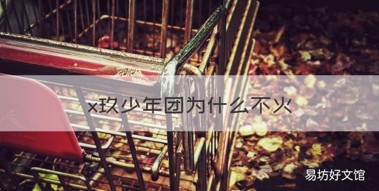 x玖少年团为什么不火,肖战现在为什么不火了?