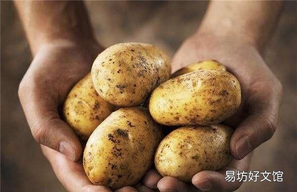 新鲜土豆为什么会变绿:为什么土豆会变绿?