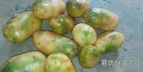 新鲜土豆为什么会变绿:为什么土豆会变绿?