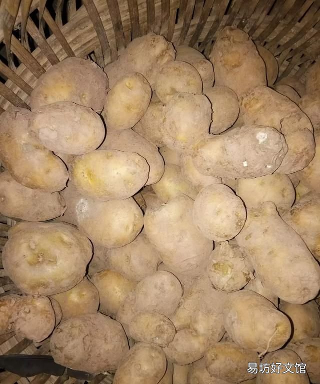 新鲜土豆为什么会变绿:为什么土豆会变绿?