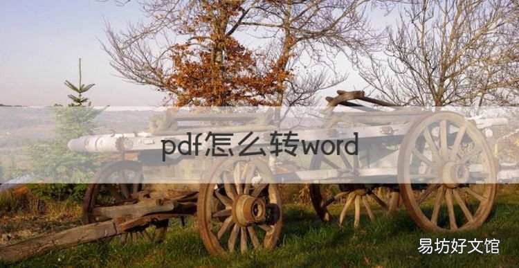 pdf怎么转word,怎么把pdf文件转换成word免费软件
