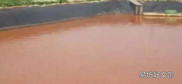 水产养殖池塘铁锈水形成的诱因 池塘水面上有红铁锈怎么办