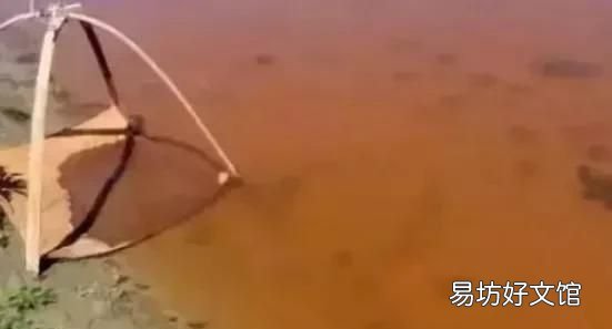 水产养殖池塘铁锈水形成的诱因 池塘水面上有红铁锈怎么办