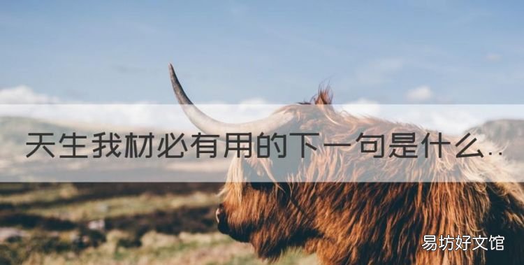 天生我材必有用下一句,天生我材必有用的下一句是什么