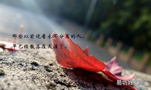 黄启远的《春风秋水辞》,实际上凄凉又卑微 我与春风皆过客你携秋水揽星河什么意思