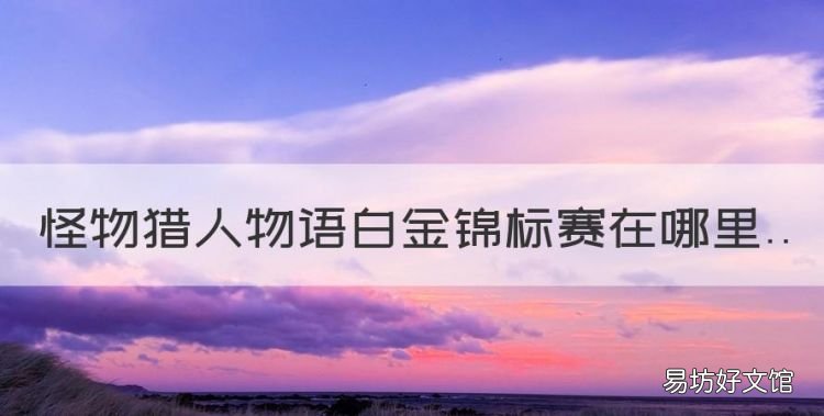 怪物猎人物语动画片第一季,怪物猎人物语白金锦标赛在哪里