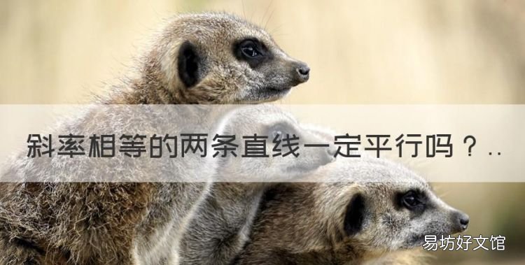 斜率相等的两条直线一定平行,两条直线的斜率相等它们一定平行吗
