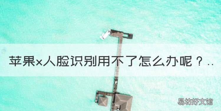 苹果x人脸识别用不了怎么办,苹果xr人脸识别突然失灵怎么办
