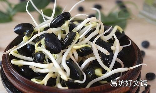 春天发豆芽的方法 黄豆芽发了小芽能吃吗