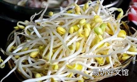 春天发豆芽的方法 黄豆芽发了小芽能吃吗