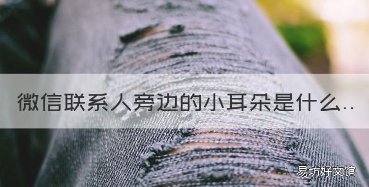 微信联系人旁边的小耳朵是什么
