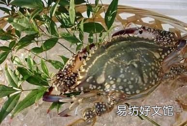买的活的海螃蟹,死后马上放在冰箱里保鲜,一天后还可以吃吗
