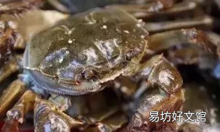 买的活的海螃蟹,死后马上放在冰箱里保鲜,一天后还可以吃吗
