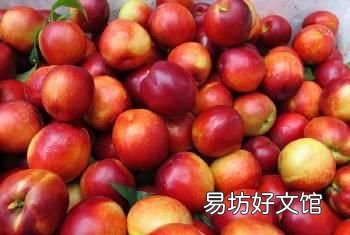 哪里的桃子好吃,甘肃秦安水蜜桃水蜜桃形状女生的水蜜桃指什么味道怎么样