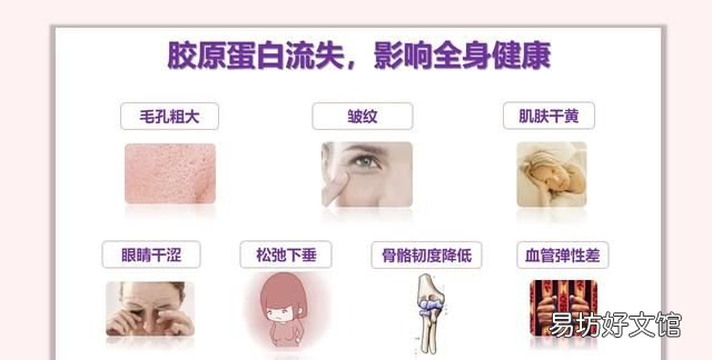 胶原蛋白肽的作用与功效:胶原蛋白三大作用