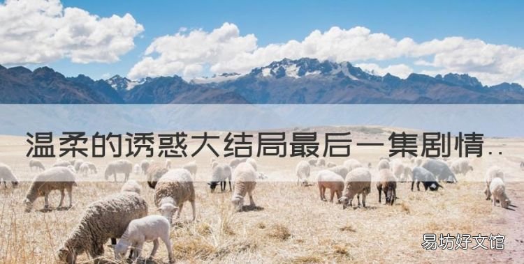 温柔的诱惑电视剧天鸽结局,温柔的诱惑大结局最后一集剧情