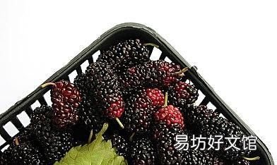 桑葚作用与功效有哪些