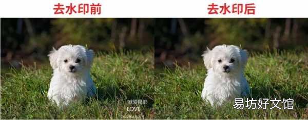 2种简单快速无痕去水印方法 照片怎么去水印文字