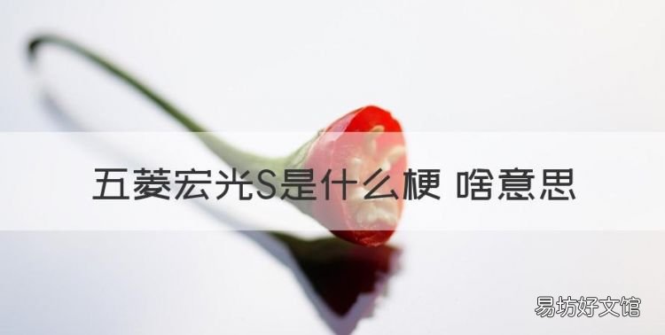 五菱宏光S是什么梗 啥意思