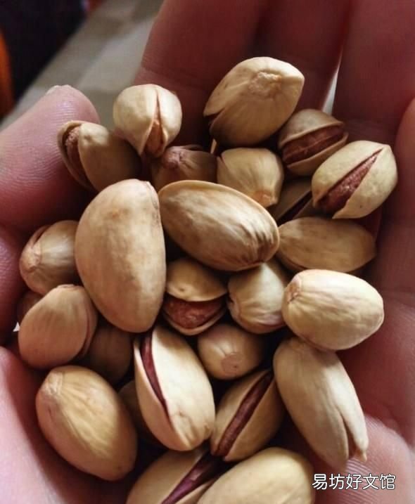 开心果的功效与作用 开心果的作用