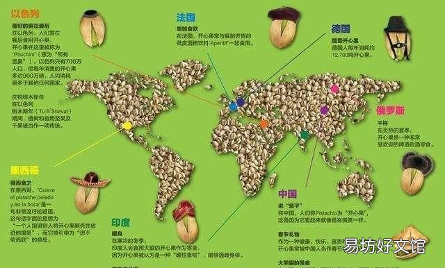 开心果的功效与作用 开心果的作用