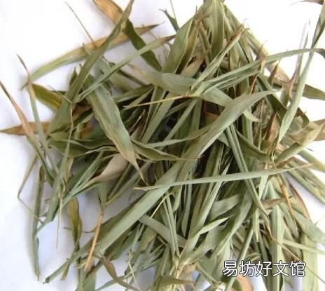 苦竹叶,淡竹叶是什么样子