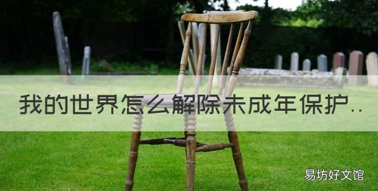 我的世界怎么解除未成年保护,手机版我的世界怎么解除防沉迷