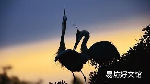 五绝和五律怎么写,有什么区别呢