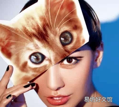 新手怎么画眼妆