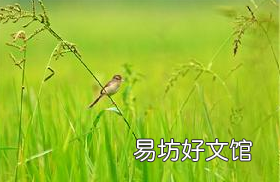 村居描绘了什么景象