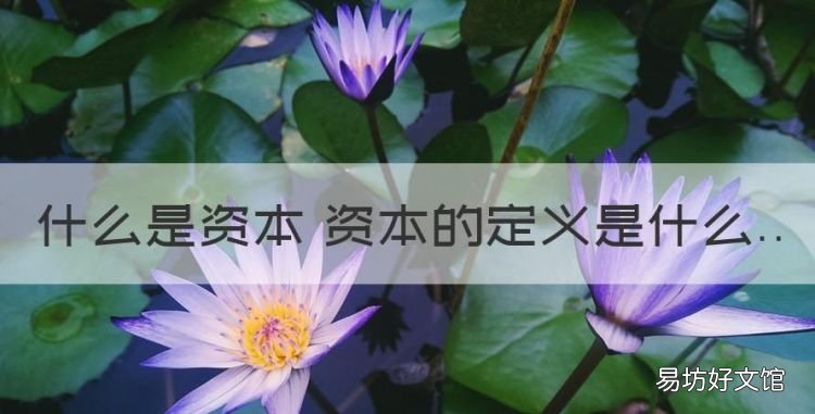资本是什么意思,什么是资本 资本的定义是什么