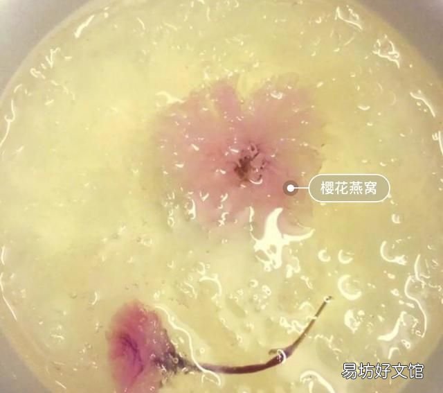 炖燕窝用什么水炖最好