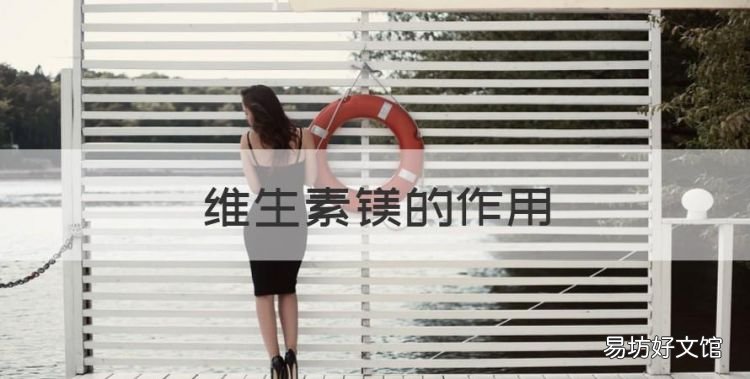 维生素镁的作用,镁对人体的作用有哪些?