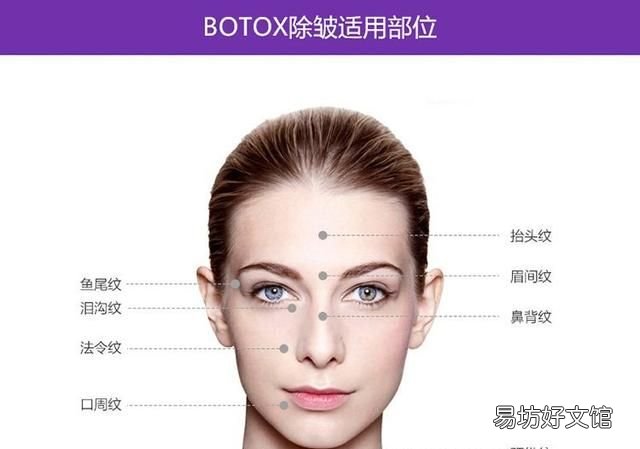 玻尿酸的有关知识 玻尿酸精华