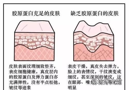 玻尿酸的有关知识 玻尿酸精华
