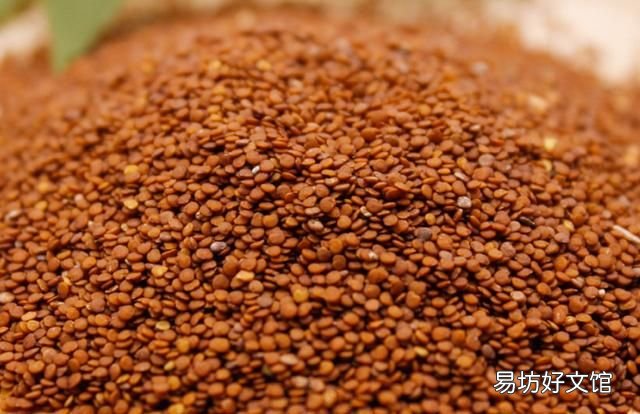 冰粉是什么材料做的 冰粉的原料是什么