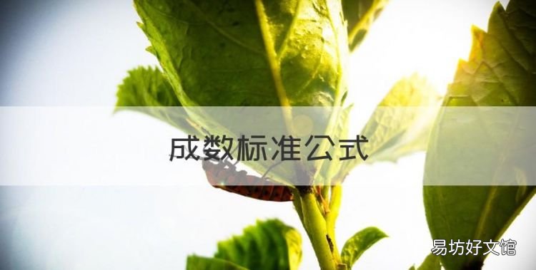成数标准公式,小学六年级数学公式大全