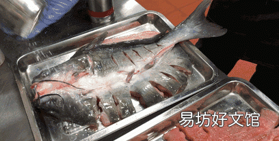 海水鱼放在淡水中会怎样,把海水鱼扔到淡水里,结果会怎样呢